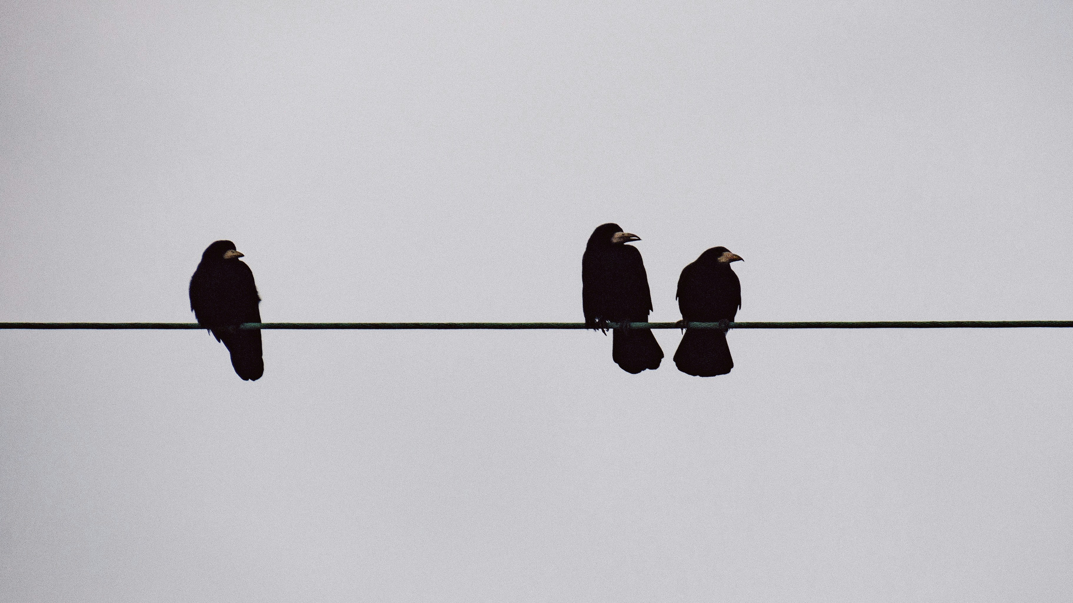 Comprendre le lien entre santé mentale et bonheur