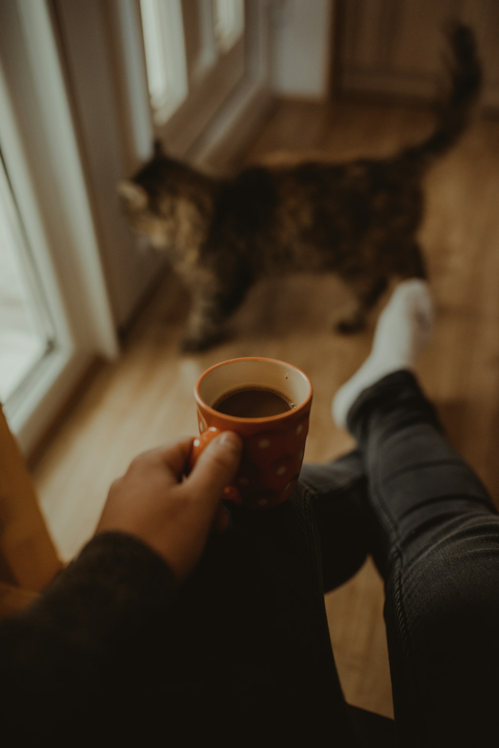 man holds cup of hot beverage near cat