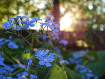 Soft sky blue background with gentle hands radiating warm light and delicate natural elements.