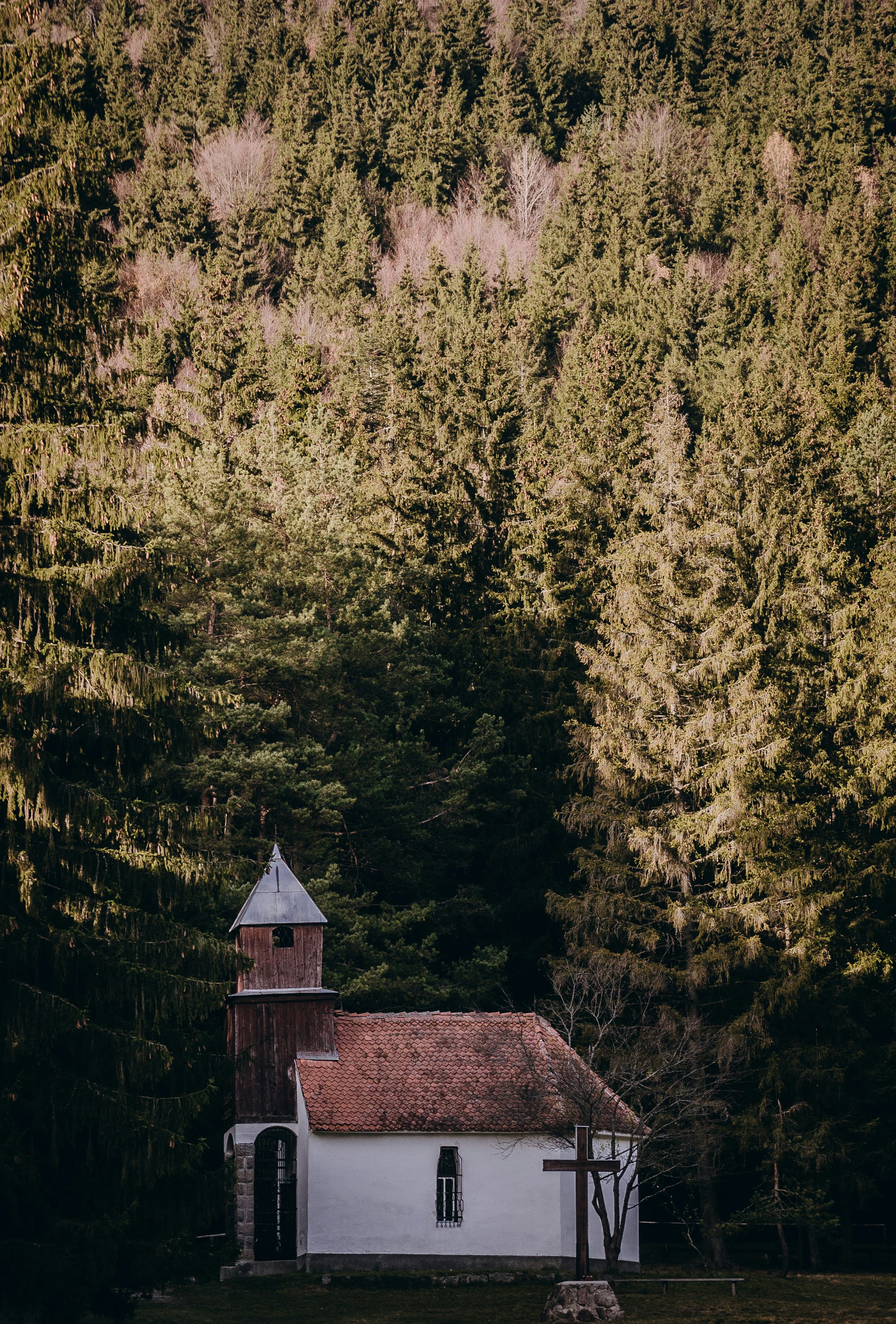 Photo by barnikakovacs