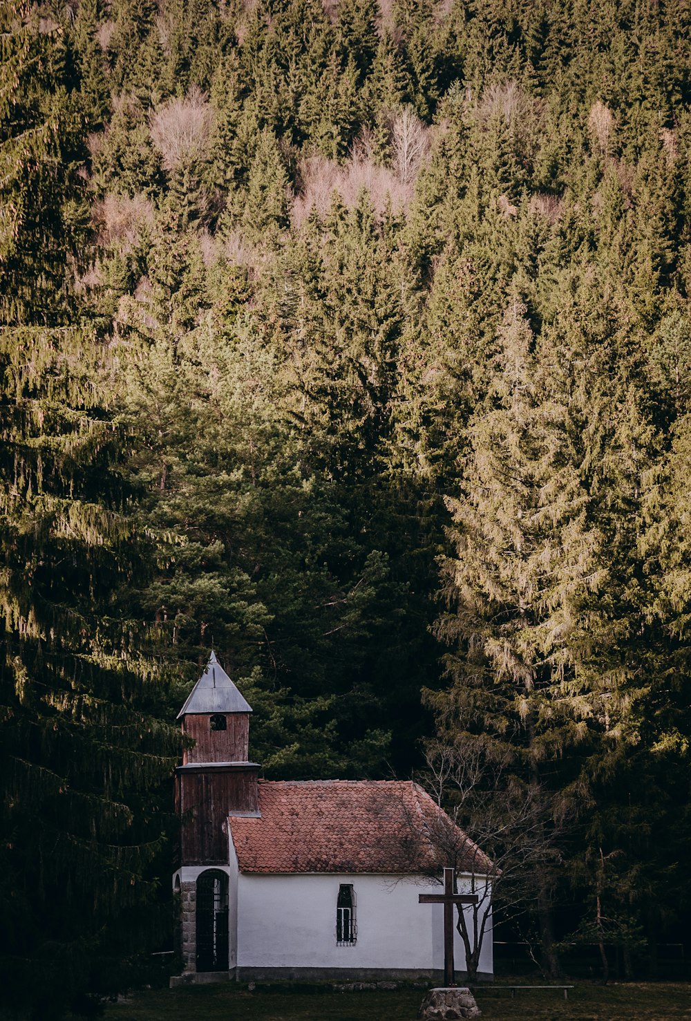 selective focus photography of white and red house