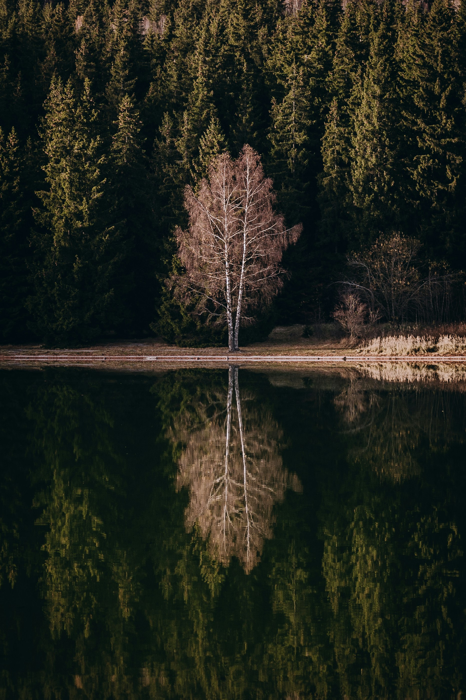 Photo by barnikakovacs