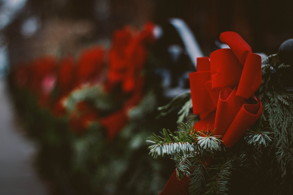 cinta roja en el árbol de Navidad