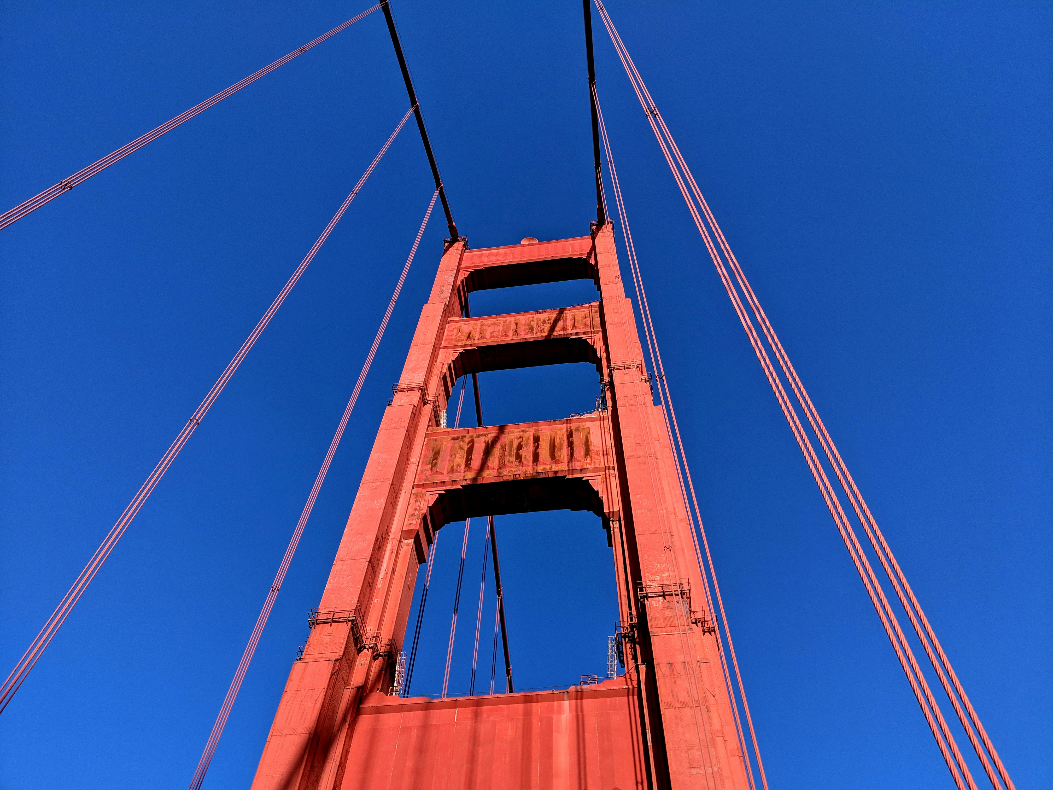 Photo by stephanejuban