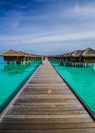 brown wooden dock