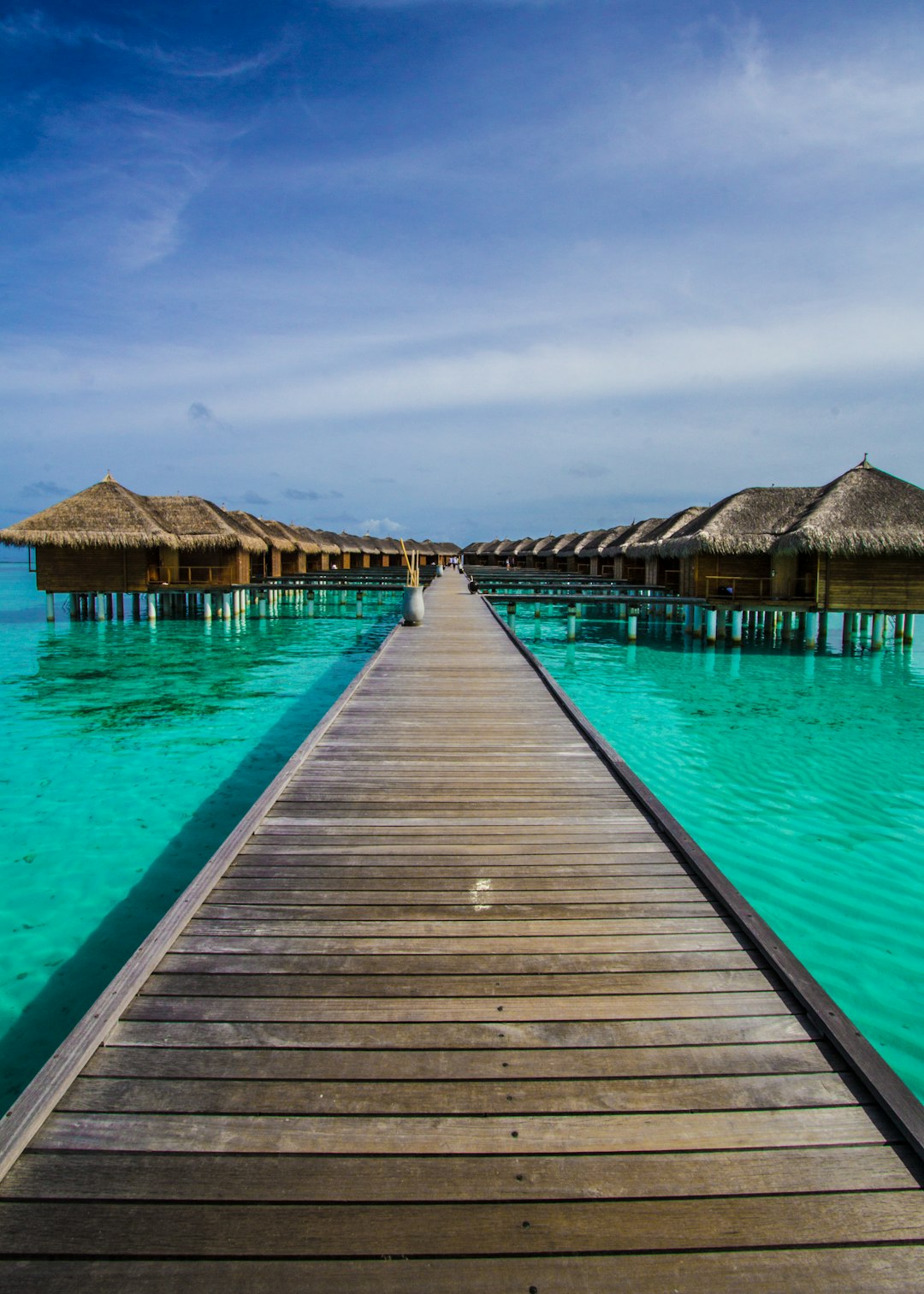 brown wooden dock