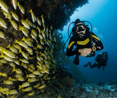 two people scuba diving underwater