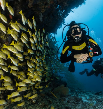 two people scuba diving underwater