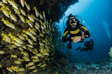 two people scuba diving underwater