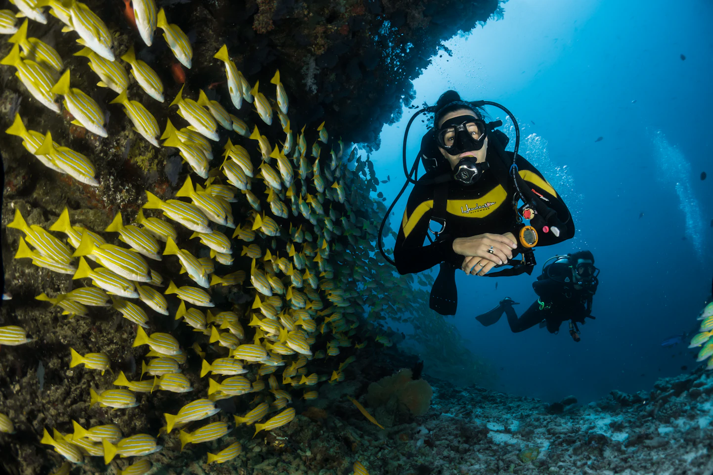 Pristine Maui waters and coastal environment