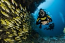 two people scuba diving underwater