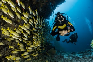 Spratly Islands Liveaboard - 5 Days Advanced Expedition