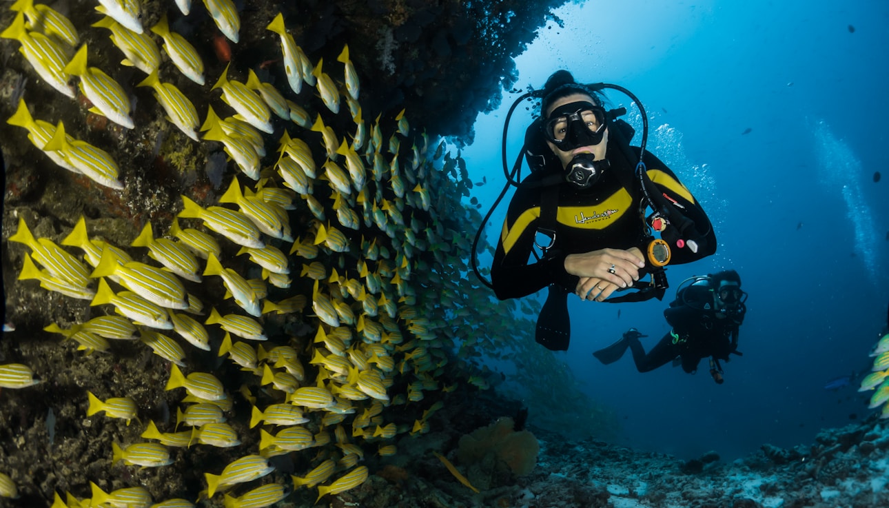 two people scuba diving underwater