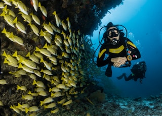 two people scuba diving underwater