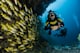 Top 5 Snorkeling Spots in Bali