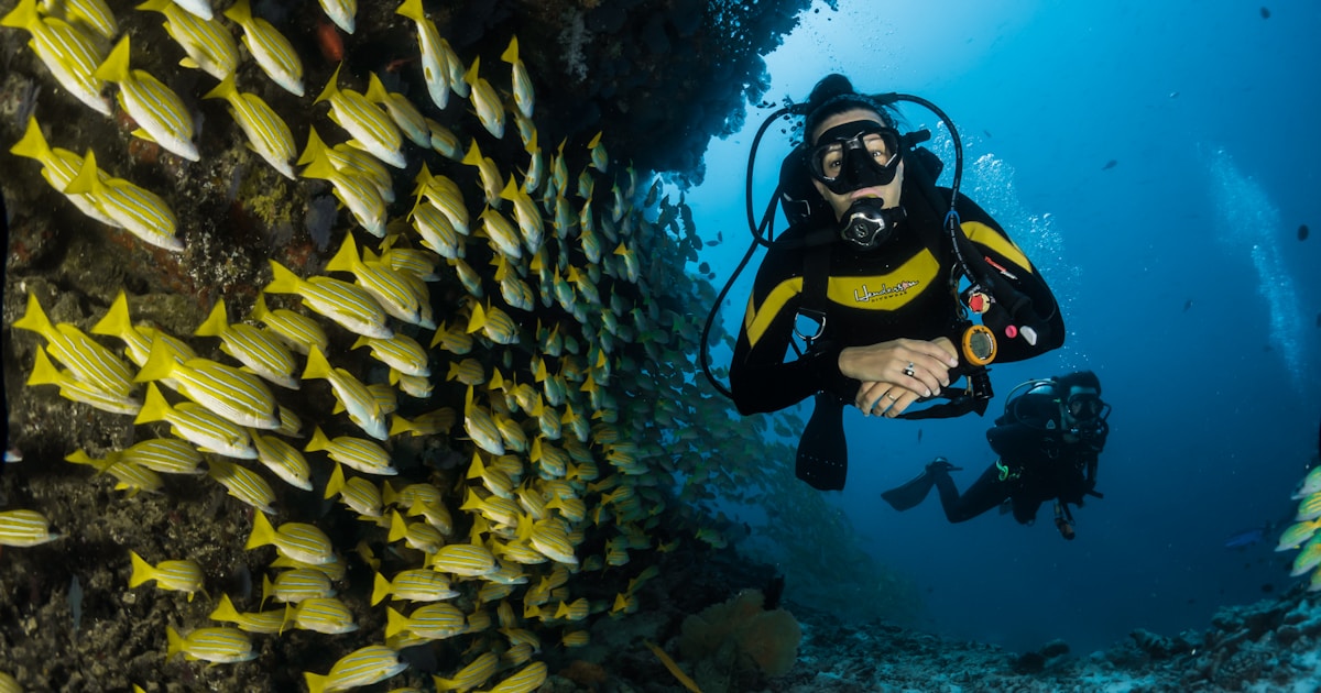 Top 6 Angels in Rhode Island for Marine Tech