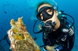 woman underwater near fishes