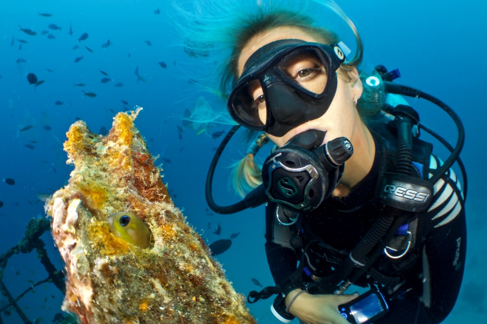 mulher debaixo d'água perto de peixes