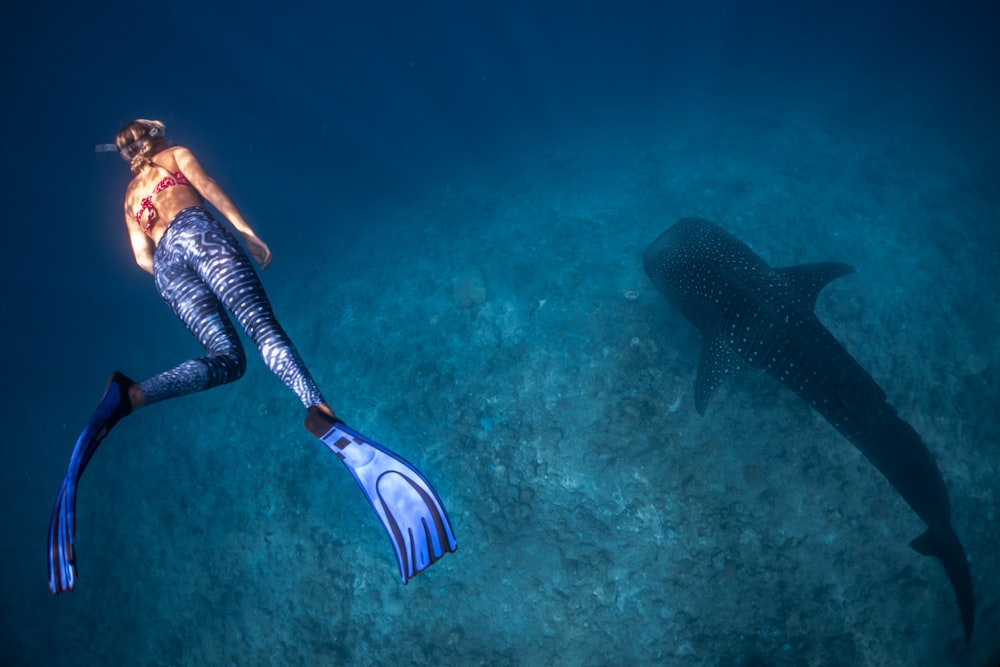 person diving underwater with shark