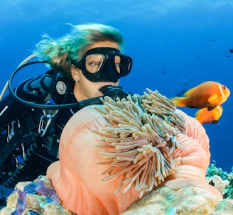 female diver near sea sponge during daytime