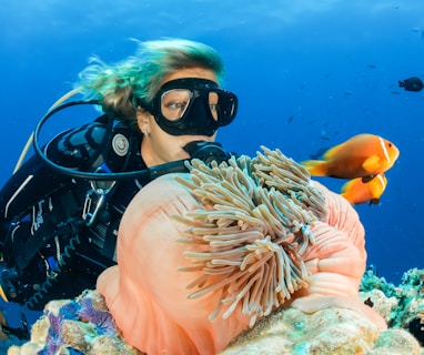 female diver near sea sponge during daytime