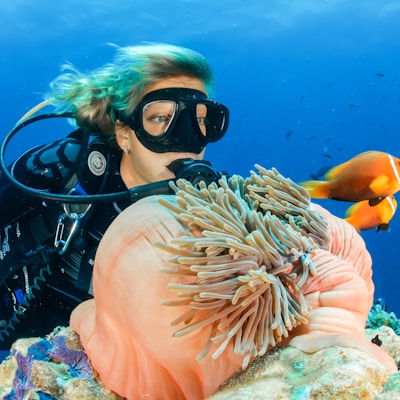 female diver near sea sponge during daytime