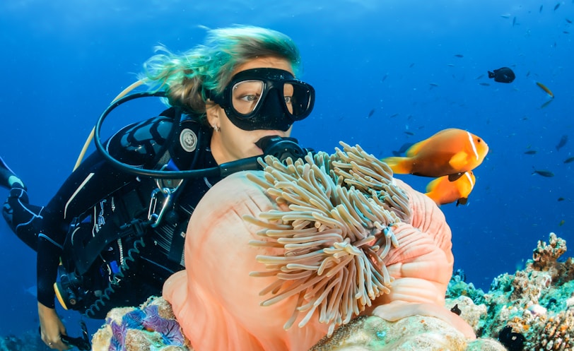 female diver near sea sponge during daytime