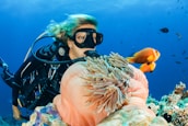 A scuba diver is underwater, surrounded by vibrant marine life. The diver is wearing a black wetsuit and mask, swimming alongside orange and white fish near a large pink sea anemone nestled in a coral reef. The ocean water is a deep blue, and additional small fish are visible in the background.
