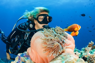 A scuba diver is underwater, surrounded by vibrant marine life. The diver is wearing a black wetsuit and mask, swimming alongside orange and white fish near a large pink sea anemone nestled in a coral reef. The ocean water is a deep blue, and additional small fish are visible in the background.