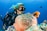 A scuba diver is underwater, surrounded by vibrant marine life. The diver is wearing a black wetsuit and mask, swimming alongside orange and white fish near a large pink sea anemone nestled in a coral reef. The ocean water is a deep blue, and additional small fish are visible in the background.