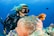 A scuba diver is underwater, surrounded by vibrant marine life. The diver is wearing a black wetsuit and mask, swimming alongside orange and white fish near a large pink sea anemone nestled in a coral reef. The ocean water is a deep blue, and additional small fish are visible in the background.