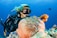 A scuba diver is underwater, surrounded by vibrant marine life. The diver is wearing a black wetsuit and mask, swimming alongside orange and white fish near a large pink sea anemone nestled in a coral reef. The ocean water is a deep blue, and additional small fish are visible in the background.