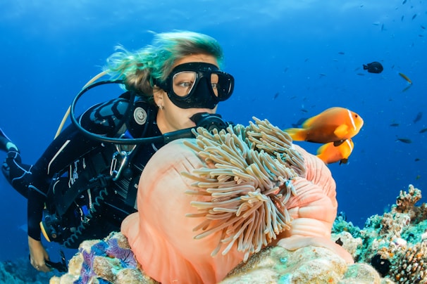 A scuba diver is underwater, surrounded by vibrant marine life. The diver is wearing a black wetsuit and mask, swimming alongside orange and white fish near a large pink sea anemone nestled in a coral reef. The ocean water is a deep blue, and additional small fish are visible in the background.
