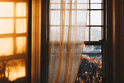 A cozy living room with sunlight softly filtered through tinted home windows.