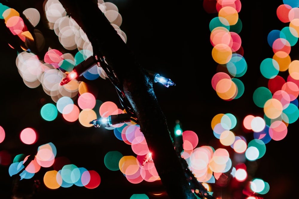 Fotografía bokeh de guirnaldas de luces multicolores