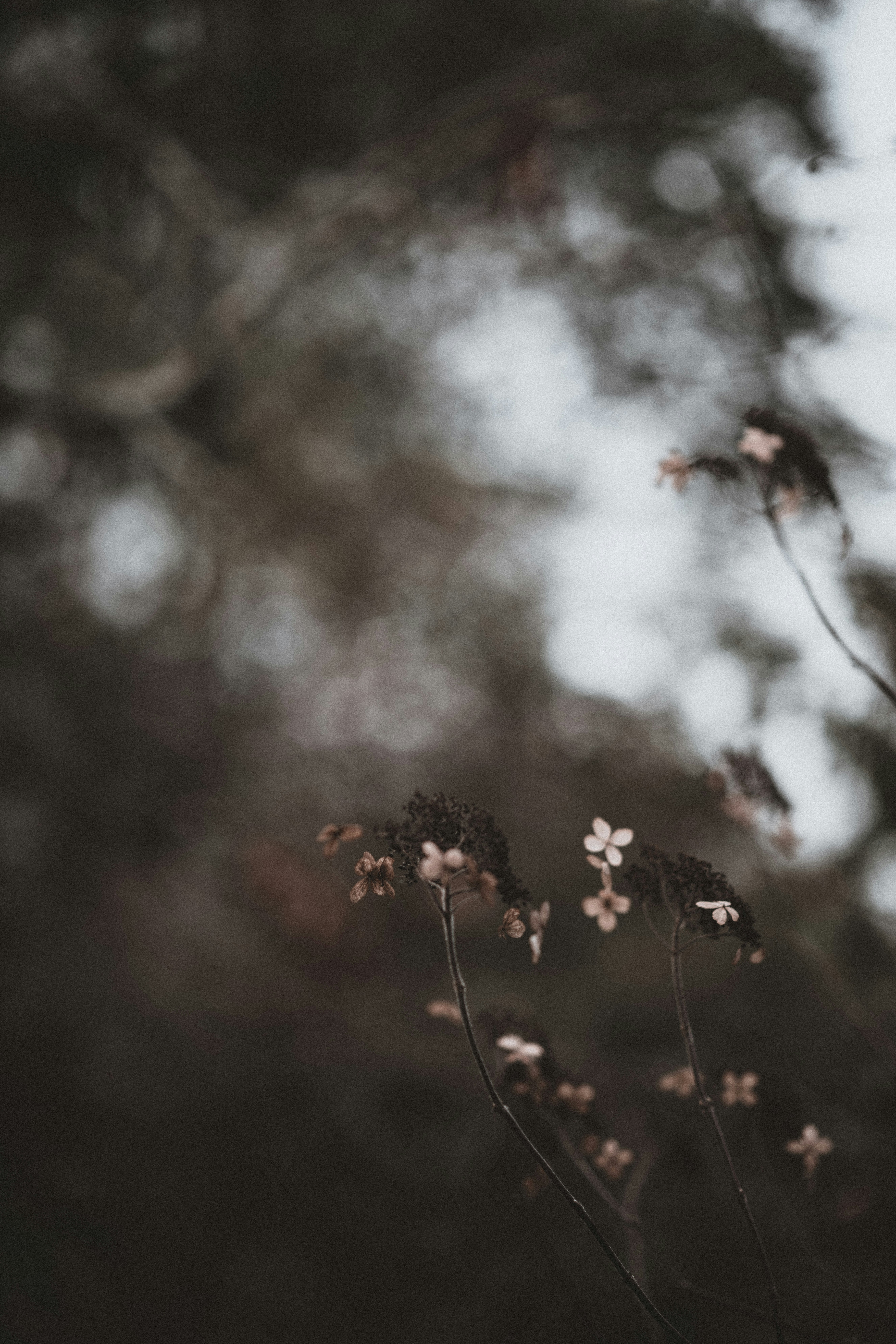 Photo by anniespratt