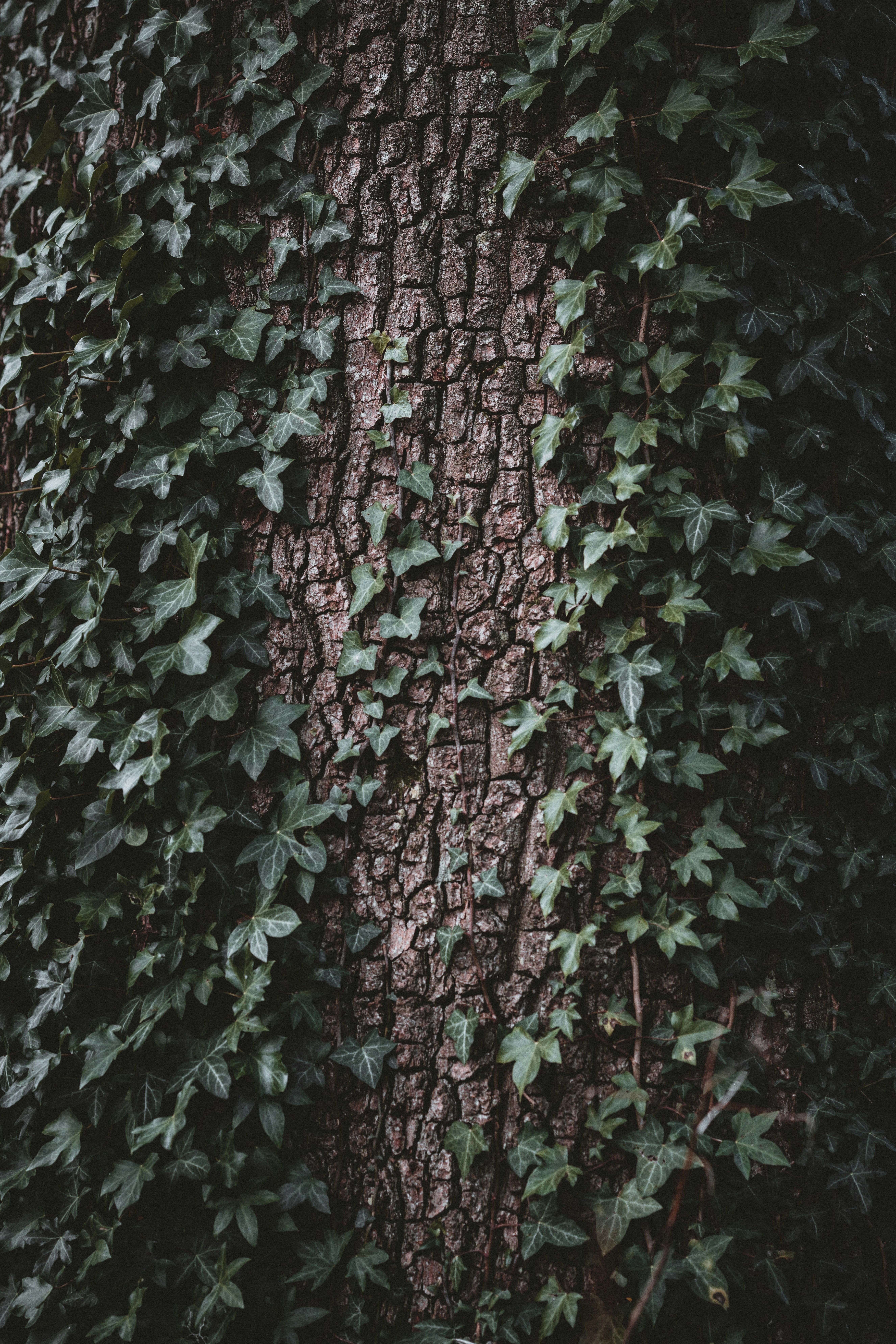 Photo by anniespratt