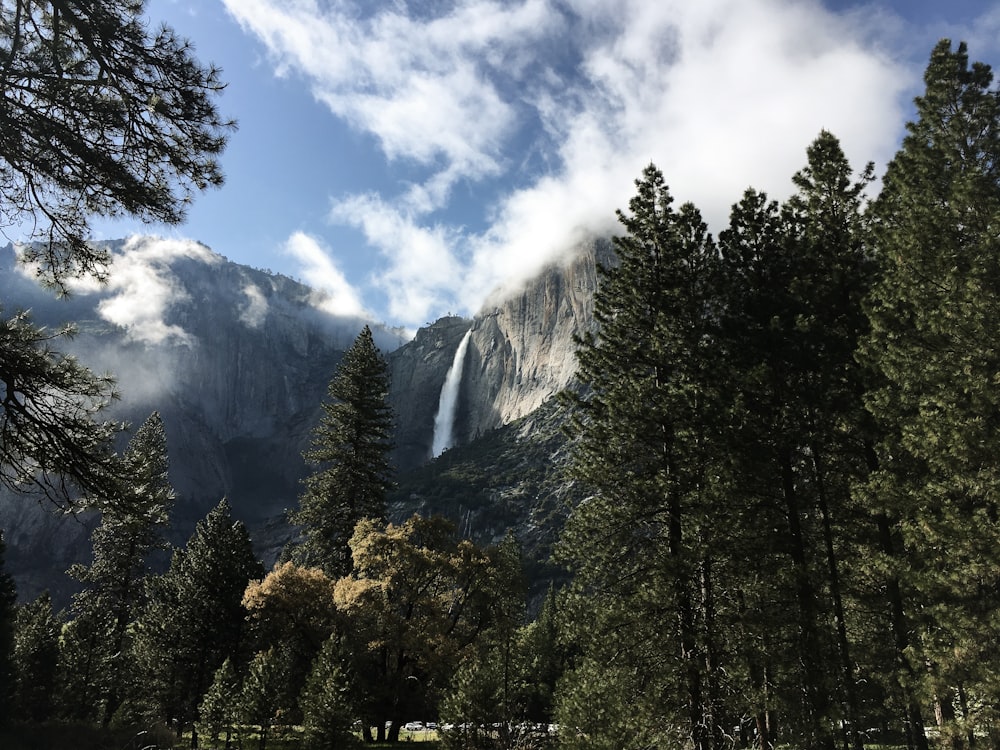 Angel Falls near trees during daytime