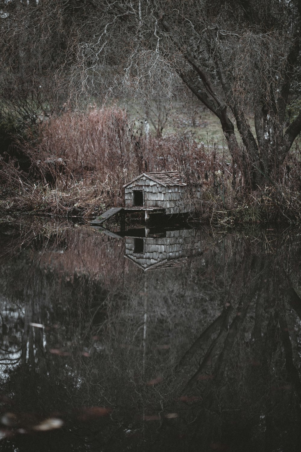 grey house near body of water