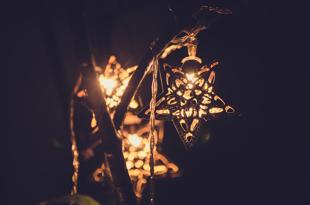 star string lights in dim room