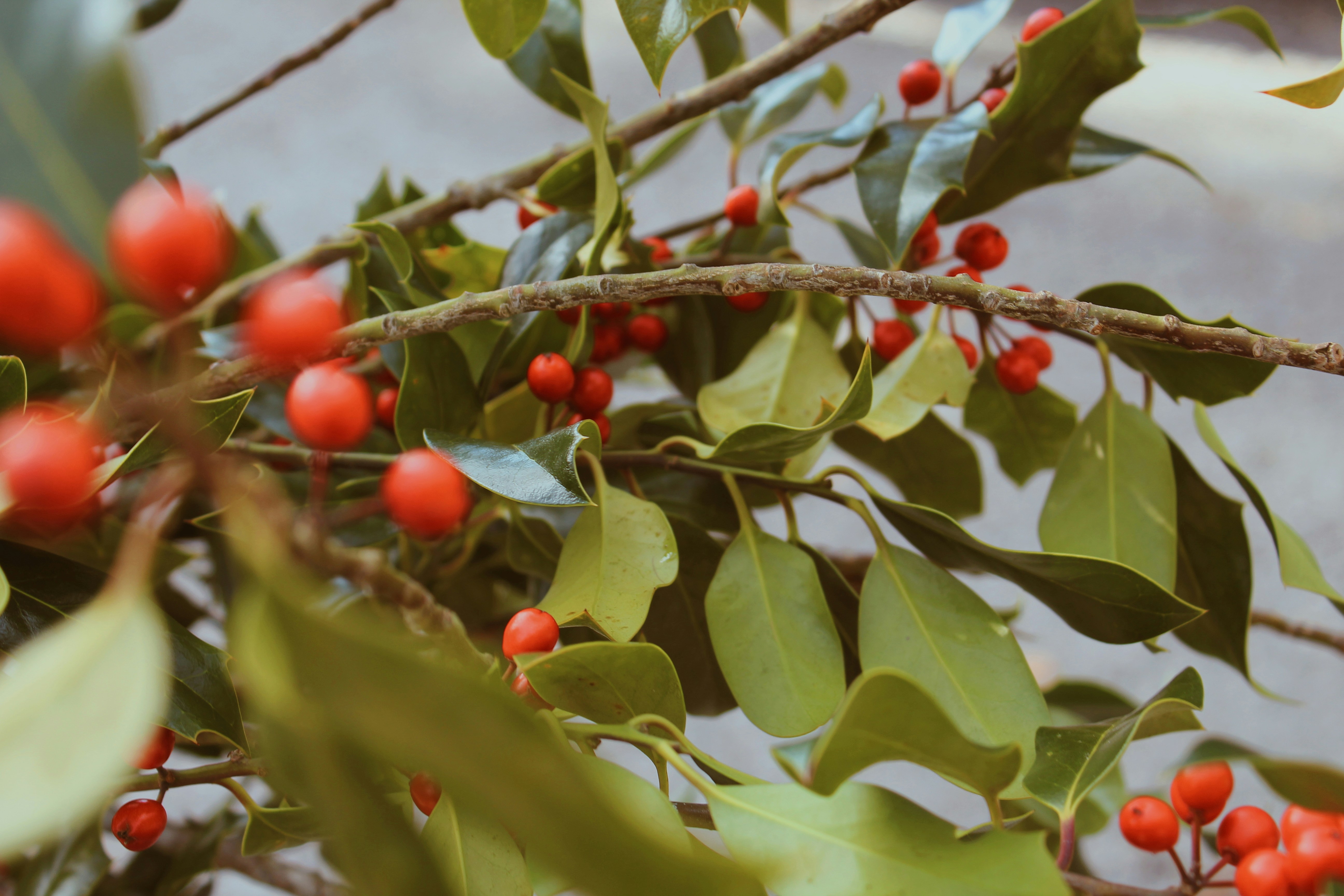 Photo by mariazevedo_23