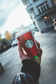 A hand holding a to-go cup with the Sugar and Spice Coffee logo against a backdrop of autumn leaves.