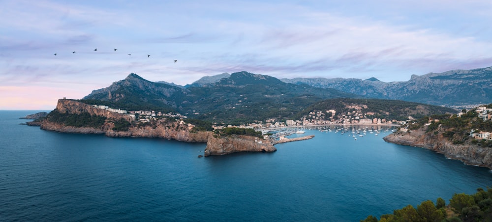 aerial photography of island