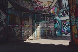 An urban alleyway covered with vibrant graffiti and street art. The space features plywood walls and metal fencing, with various artworks displaying bold colors, letters, and patterns. Sunlight partially illuminates the area, adding dynamic shadows to the scene.