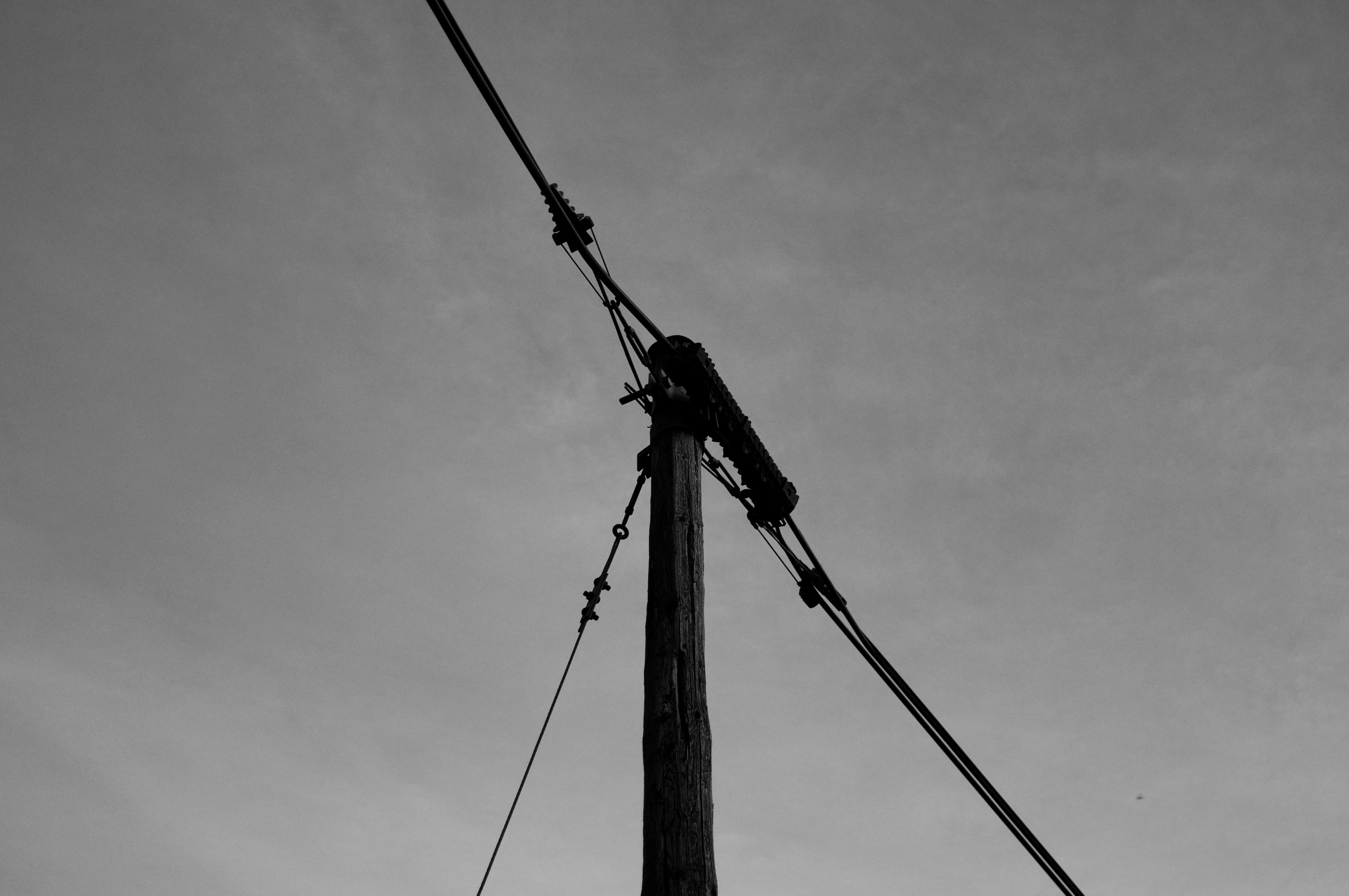 black utility pole
