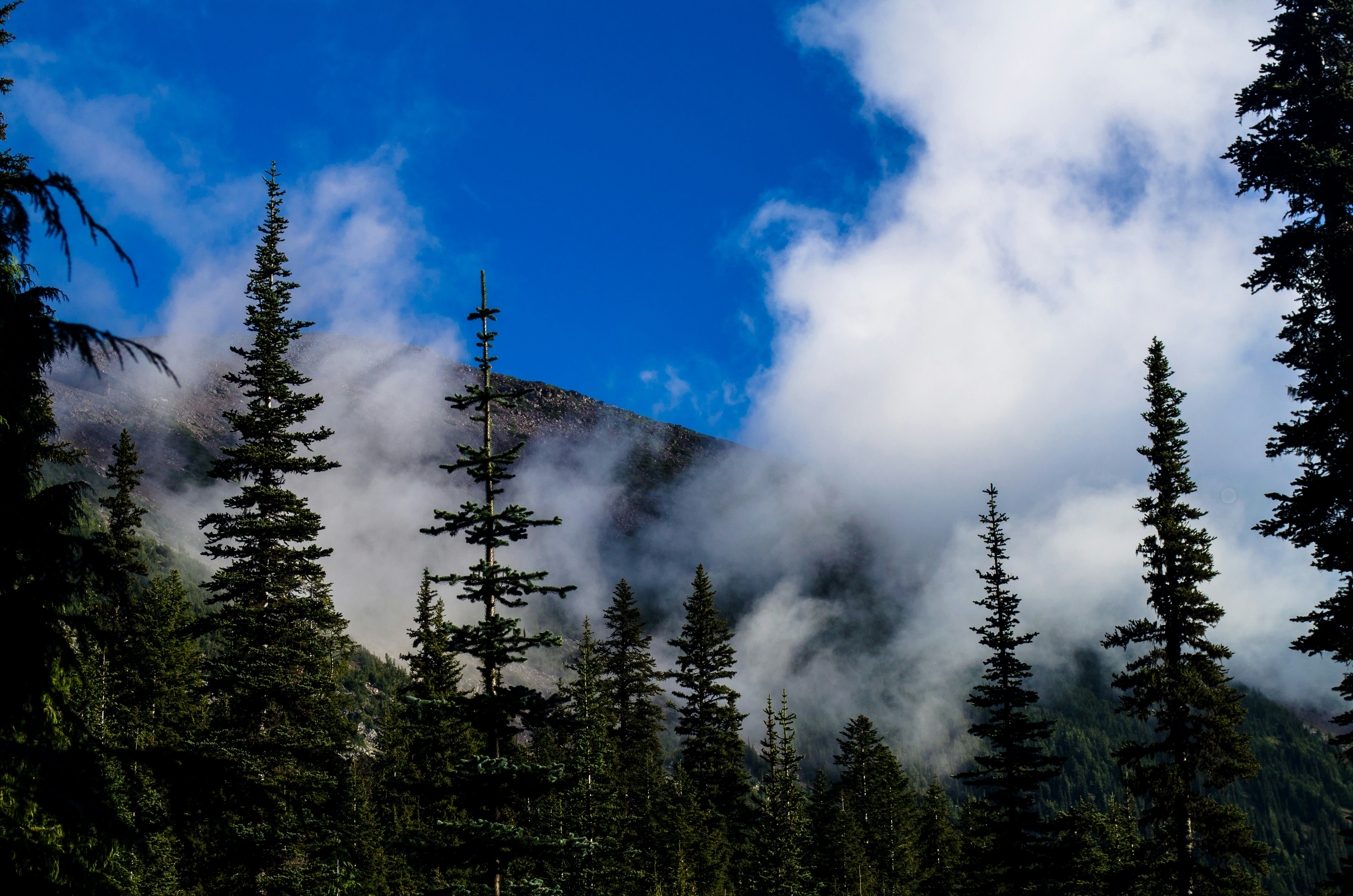 Photo by chasecharaba