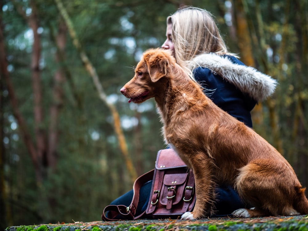 woman sitting beside tan dog on forest