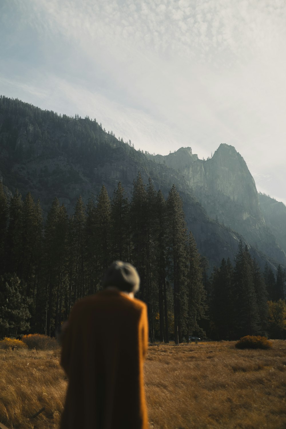 woman in brown coat standing near pine trees during daytime