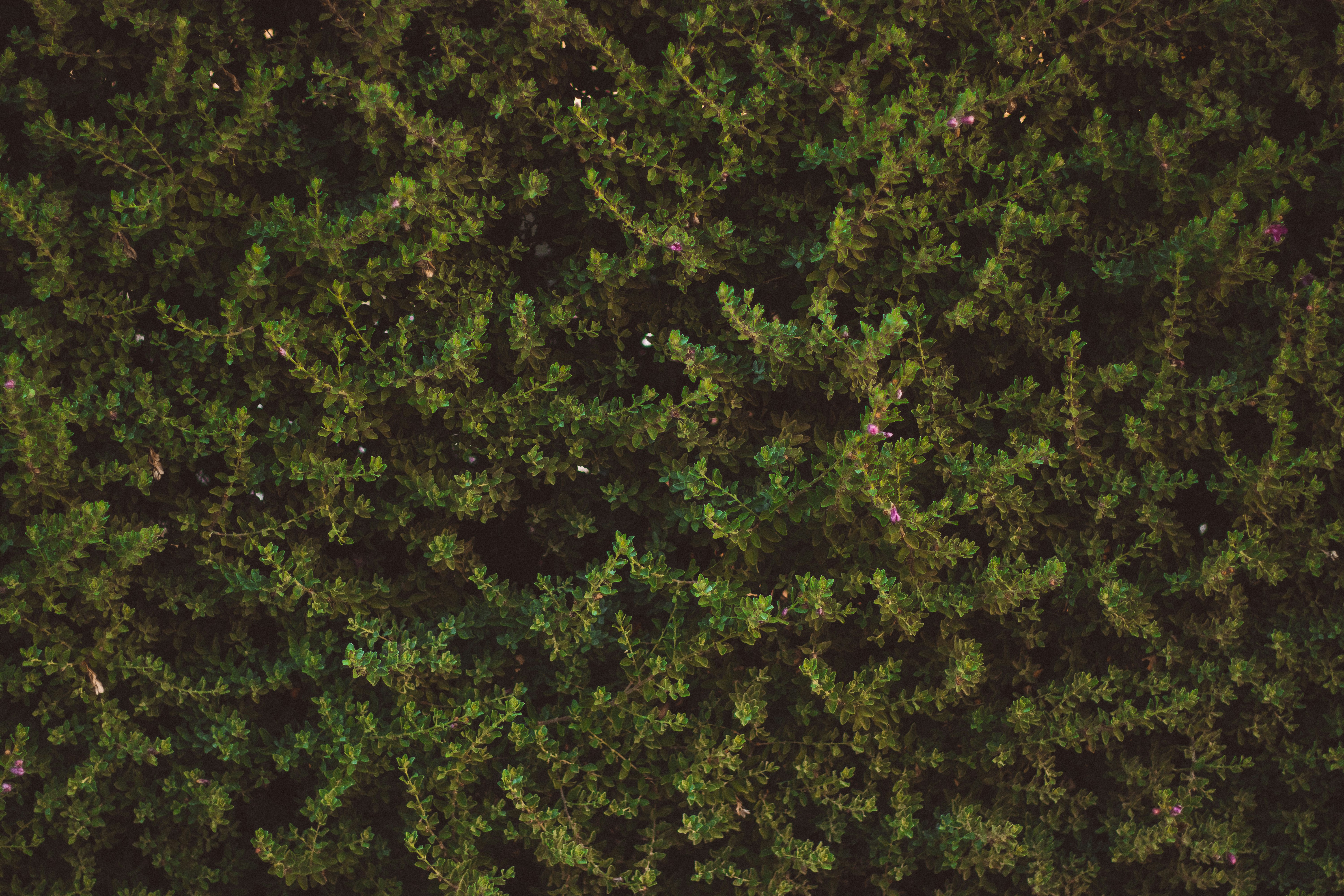 Photo by arthurfoliveira