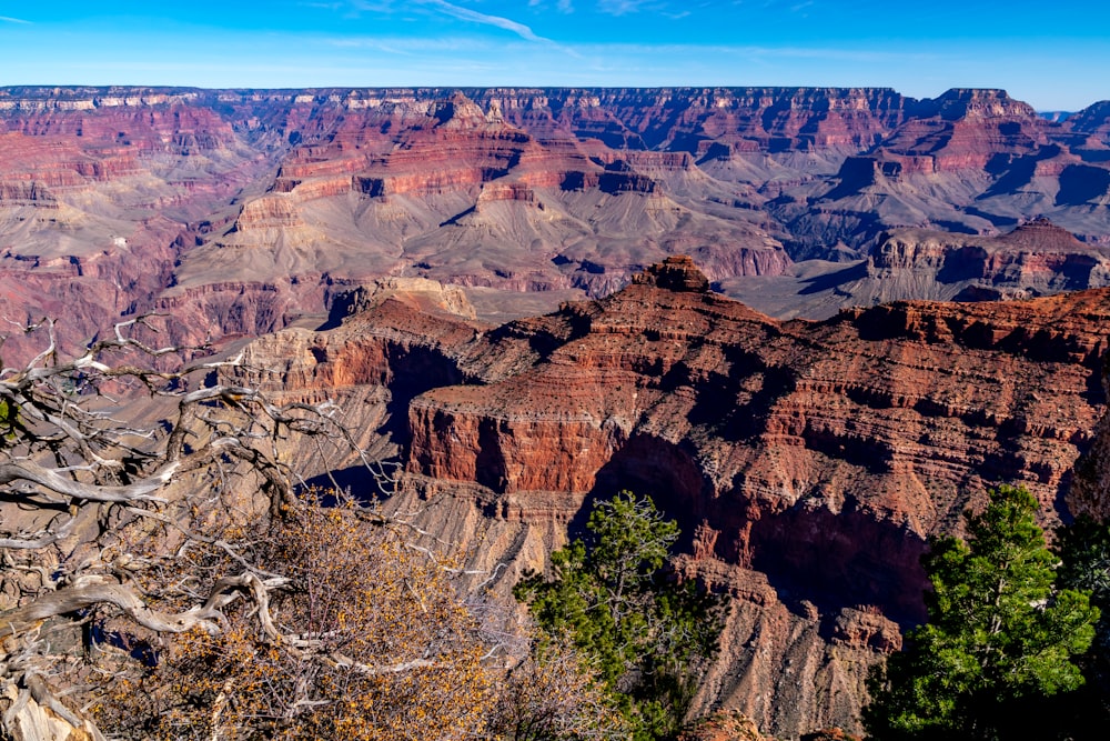 top view of red canyon